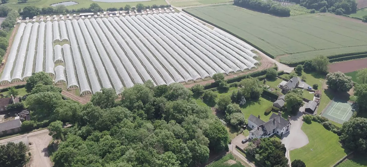 Aerial view of a grower’s polytunnels in the English countryside